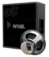 Angel 412XL H100 Cabinet IR