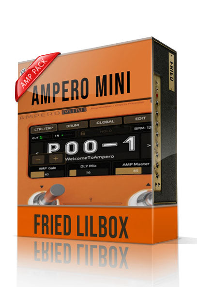 Fried Lilbox Amp Pack for Ampero Mini