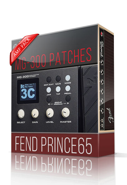 Fend Prince65 Amp Pack for MG-300